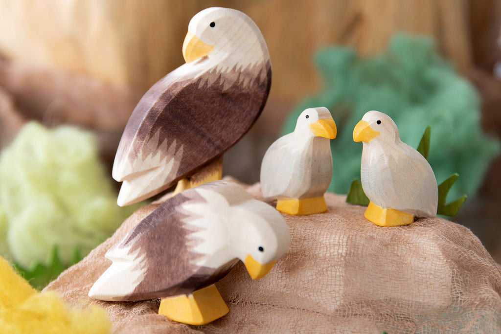 Ostheimer Seeadler Neuheit 2026